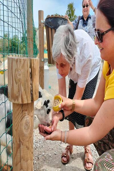 animais[1]